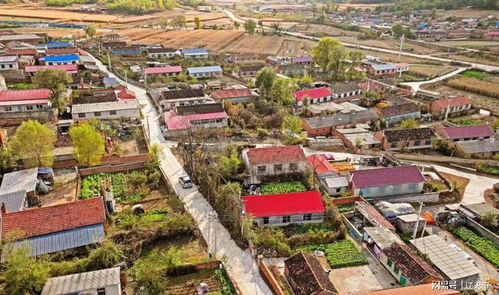 本溪市溪湖區道路硬化鋪出鄉村振興 快車道