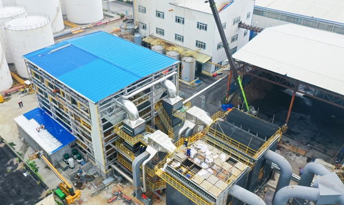 漳州開發區 中糧油脂福建工廠積極探索綠色轉型與智能化生產之路