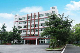 永州市海嘉中等職業技術學校視角 中國職場中具有競爭力的小語種與公路與路面工程領域